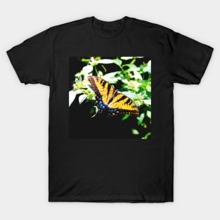 Eastern Tiger Swallowtail T-Shirt